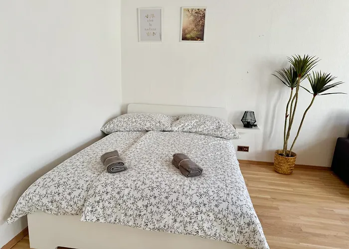 3 Bedroom Long-term With Free Parking וינה